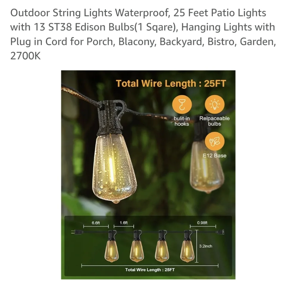 Outdoor String Lights with Black Cord 25ft